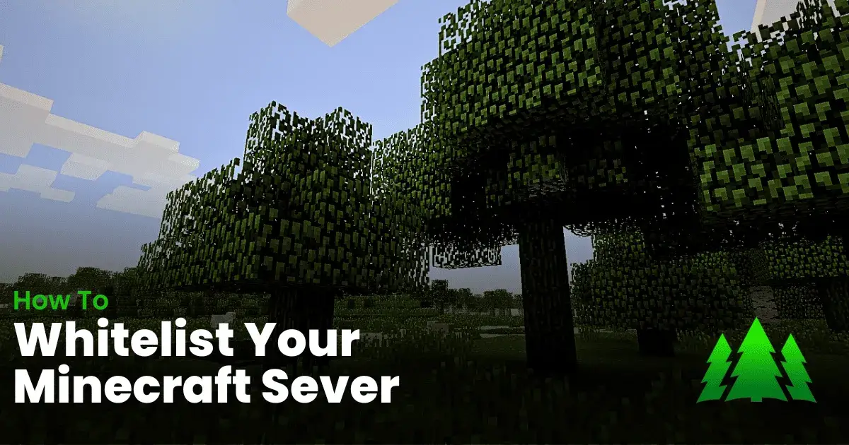 How To Whitelist Your Minecraft Server