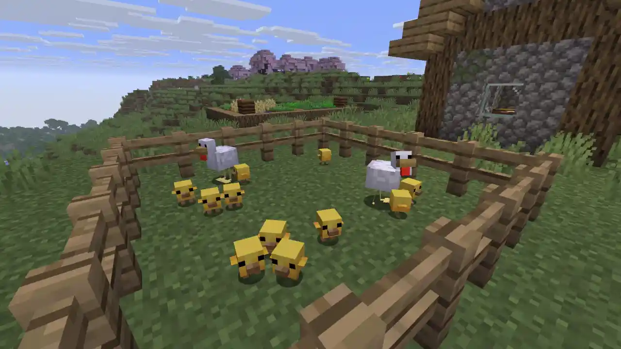 Minecraft chicken pen with chicks and adult chickens inside a fenced farm area