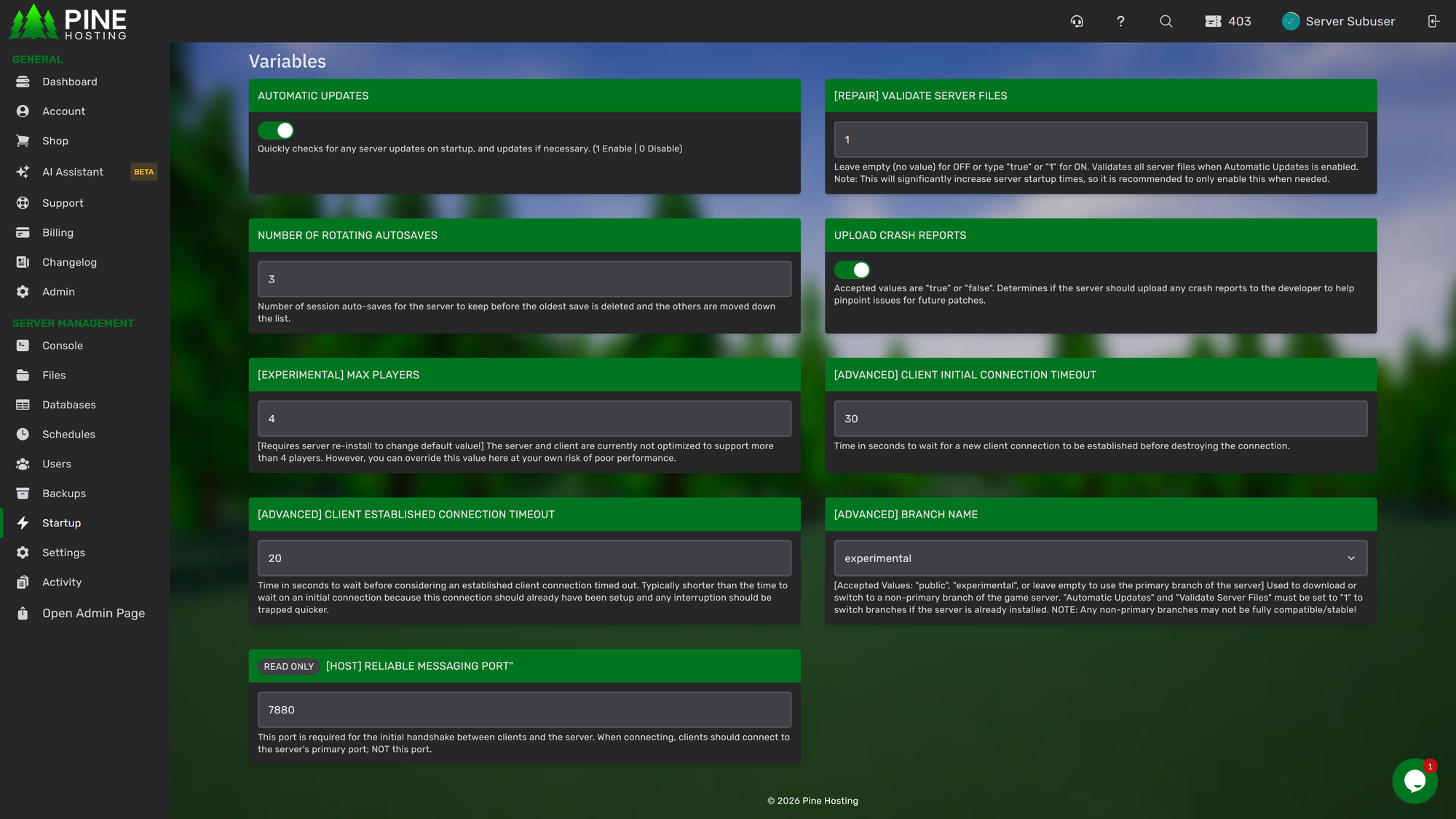 Satisfactory server Startup tab in Pine Hosting panel